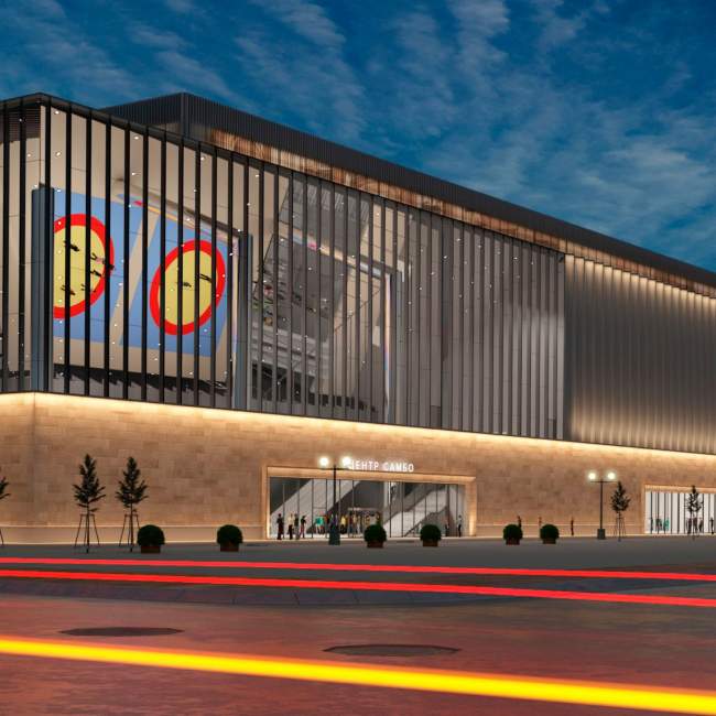 В "Лужниках" строятся Центры самбо и бокса