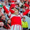 Два матча проведет ХК «Спартак» на льду МСА «Лужники»