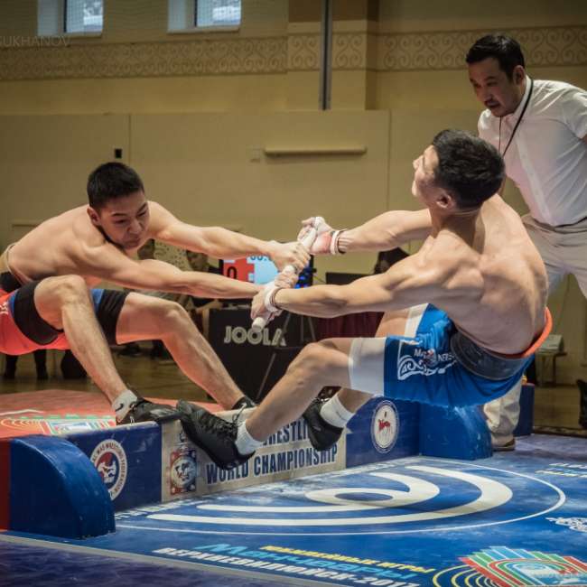 В «Лужниках» пройдет турнир по мас-рестлингу