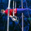 Шоу Алексея Немова в «Лужниках» состоится 25 декабря